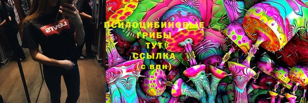 сатива Алексеевка