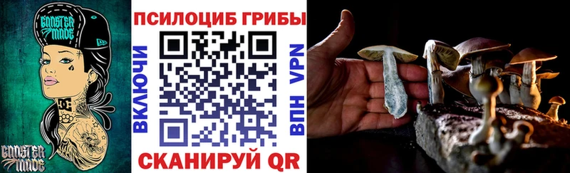Псилоцибиновые грибы прущие грибы Малаховка