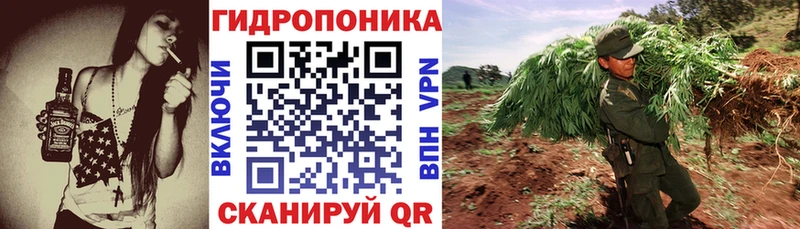 Конопля сатива как найти наркотики Малаховка